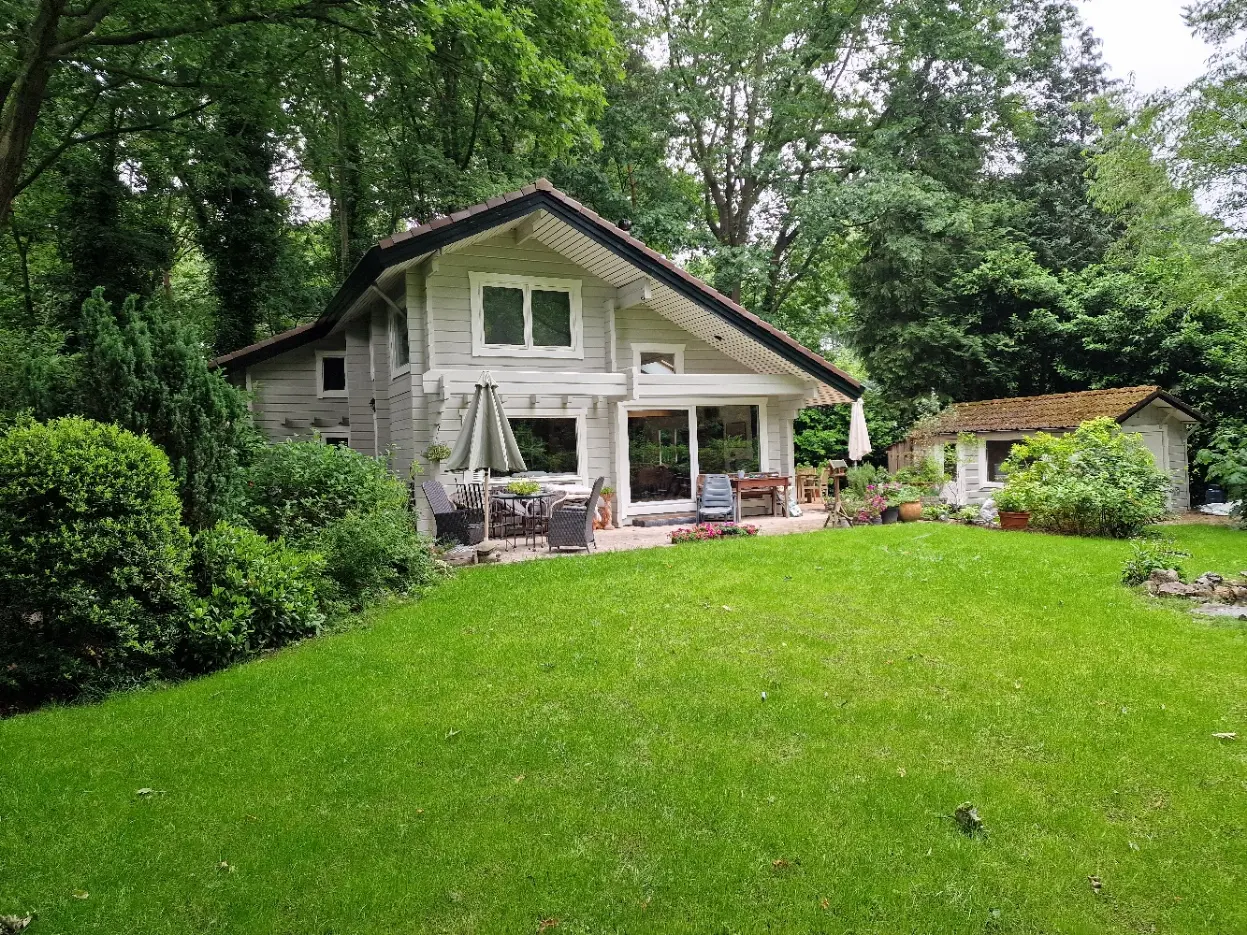 Stille Wille 55