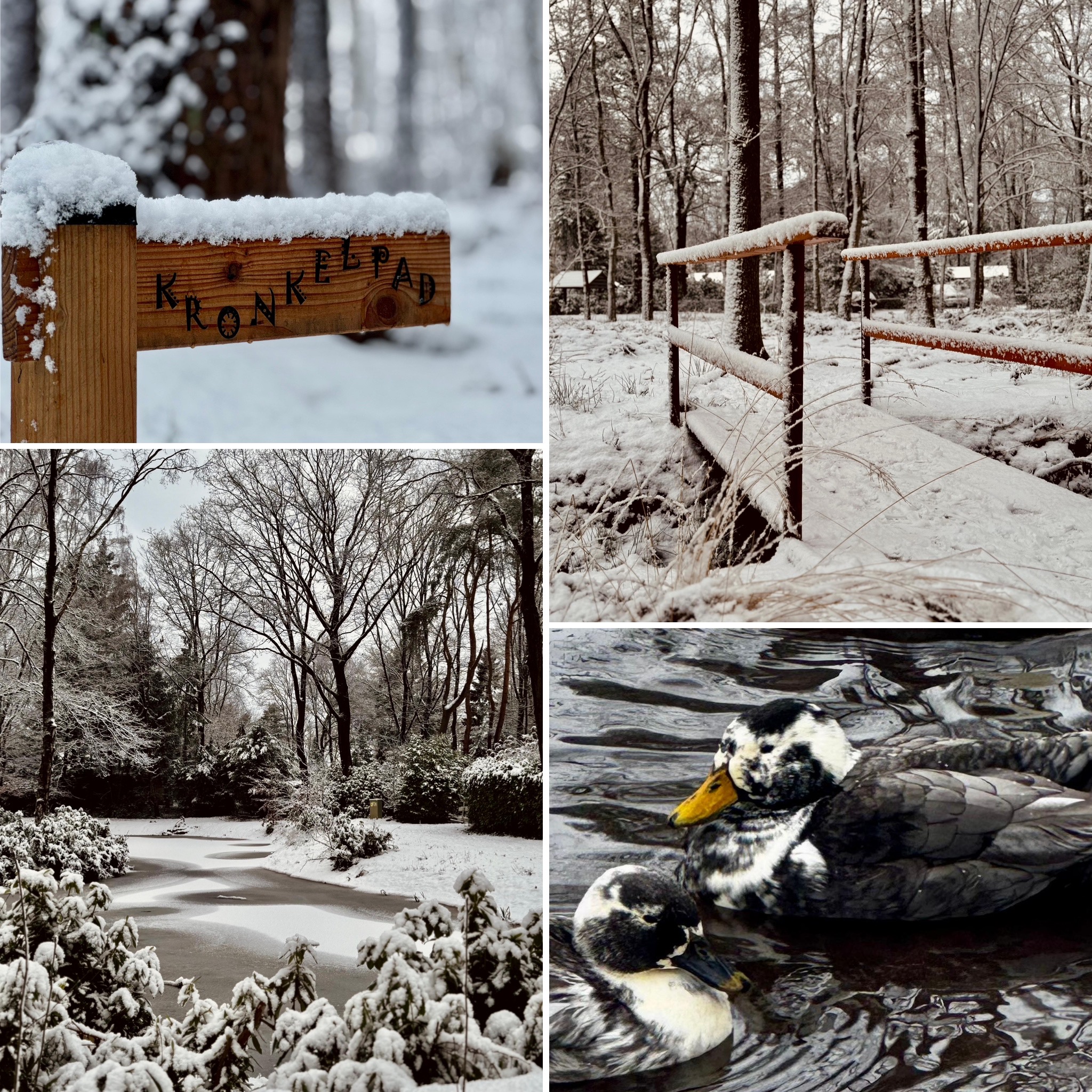 3C70CB94 1EF8 4564 A751 DC380D1722D1