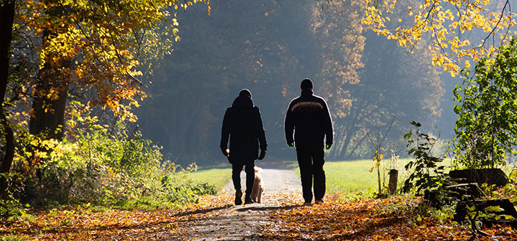 Prachtige omgeving om te wandelen