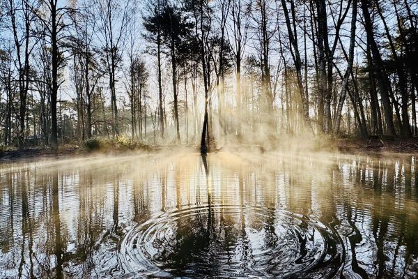Mystieke sfeer aan de Vijverlaan | maart ‘26