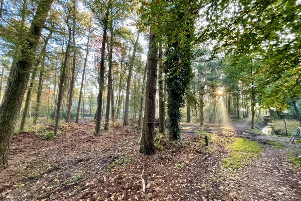 Doorkijk Kleine Bos | voorjaar ‘25