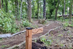 Wandelbos en Kleine Bos