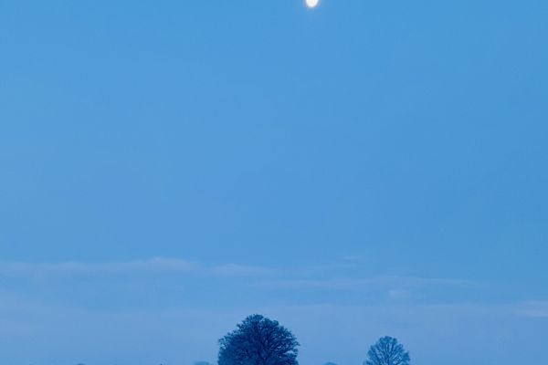 Ochtenddauw richting Moergestel | januari &lsquo;26