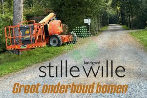 Voortgang groot onderhoud aan de bomen