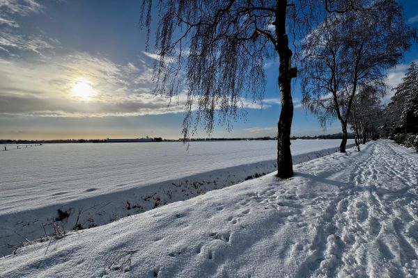 Winterse sfeer Bosuillaan | januari ‘26