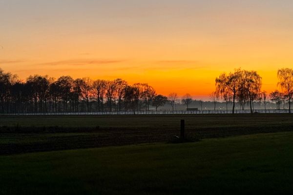 Ochtendgloren Houtduiflaan richting Berkenlaan